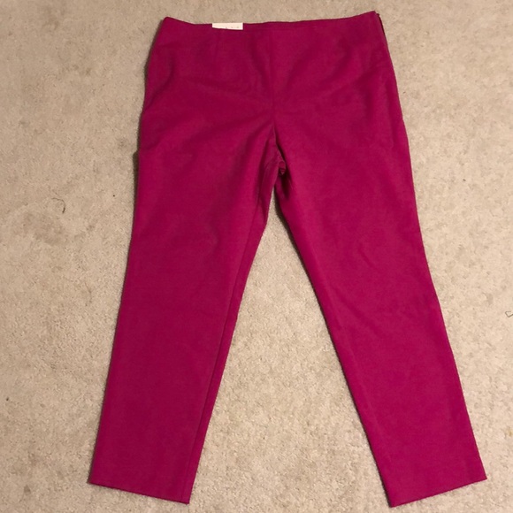 Pants - BRAND NEW skinny ankle pants - size 14